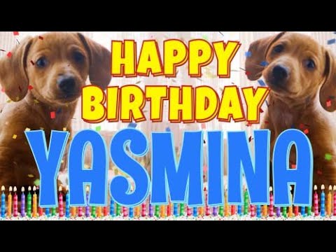 Funny Happy Birthday Yasmina Song Epic Talking Dogs What Is Free On My Birthday