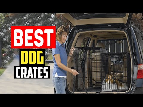 MidWest Homes for Pets Replacement Pan for 42-inch Dog Crates, Fits All Midwest and New World 42-inch Pet Cages, Multiple Uses, Plastic, Black, 9PAN video review thumbnail