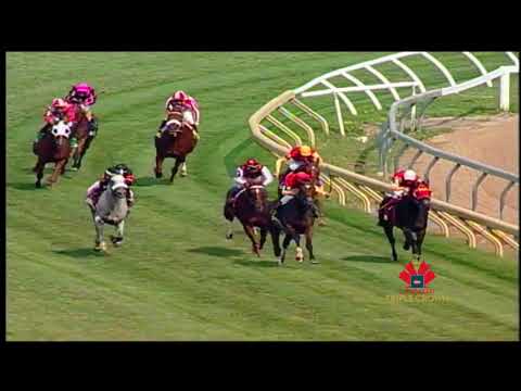 2003 | Wando wins the Canadian Triple Crown