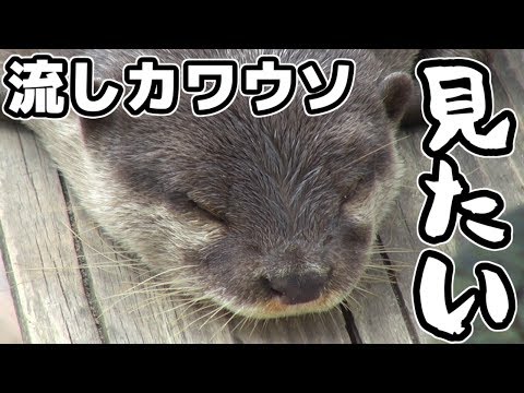 コスパ最強 消臭 背中ニキビ対策に効果抜群 ミョウバン水 作り方 市販品と効果比較 Recott レコット