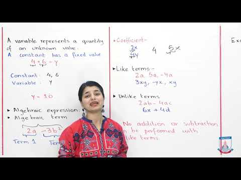 Class 6 - Mathematics - Chapter 8 - Lecture 1 - Introduction to Algebra - Allied Schools
