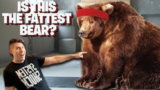 IS THIS THE FATTEST BEAR? - Dude Soup Podcast #195