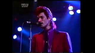 Mink DeVille - Love And Emotion