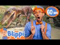 Learning Dinosaurs Wtih Blippi At The Children S Science Museum Educational Videos For Kids