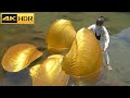4KHDR The Whole Body Is Covered In Golden Clams Let S See What Kind Of Pearls We Can Collect