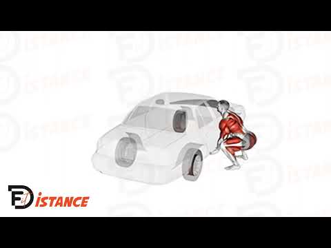 Exercice Soulevé de voiture (Strongman)