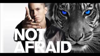 Eminem - Not Afraid (Eye of the Tiger Remix)