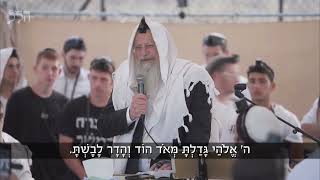 השמחה והיופי של ירושלים | הרב שמואל אליהו | הלכה יומית | כ"ח אייר יום ירושלים תשפ"ה (הרב שמואל אליהו) - התמונה מוצגת ישירות מתוך אתר האינטרנט יוטיוב. זכויות היוצרים בתמונה שייכות ליוצרה. קישור קרדיט למקור התוכן נמצא בתוך דף הסרטון