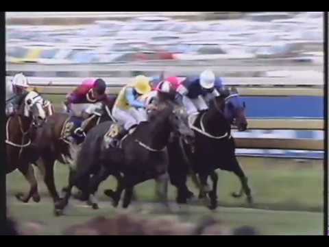 1989 NINE WWOS Caulfield Cup