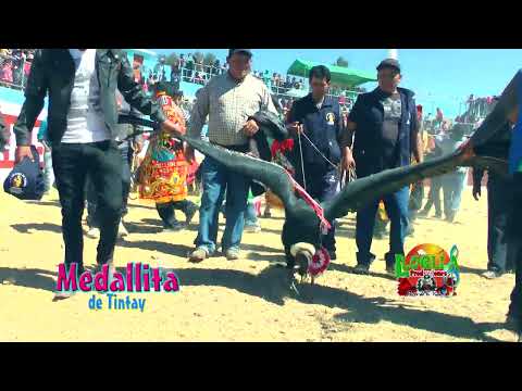 MEDALLITA DE TINTAY ♪♫ ►TORO CCAYCUY◄ EXITOS DEL TORIL ♫♫ ✔Full ᴴᴰ☆ (LLOQLLA PRODUCCIONES)