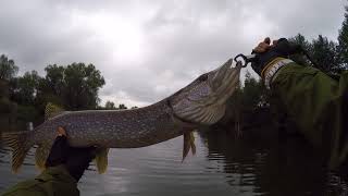 Куда в мордовии съездить на рыбалку