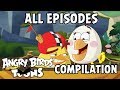 Angry Birds Toons Compilation Season 2 All Episodes Compilation Special Mashup