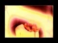 Love Fade by Tamaryn