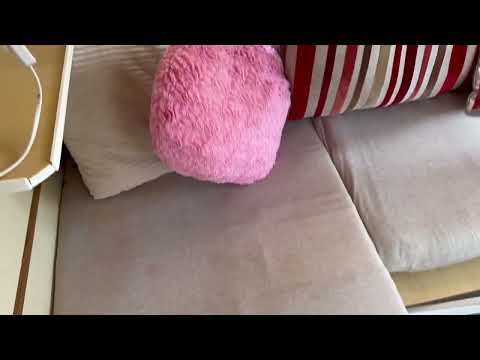 Viking 20 River Cruiser - Boatshed - Boat Ref#324516