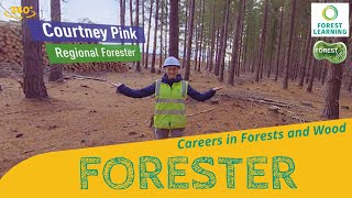 ForestVR - Grow your Career as a Forester  -- 5K