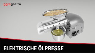 Presse à huile électrique - Gris - 1,8kW - 5-8kg/h