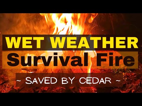 How to Make Fire in Wet Weather | Saved by Cedar