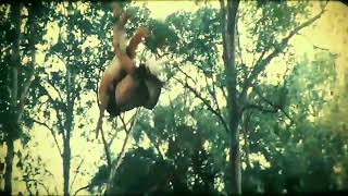 Download lagu Angling Dharma Mabak mp3