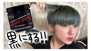 黒にしたくてマニパ二で染めたけど黒じゃないかもしれないww【マニパニ ブルーパンサー】