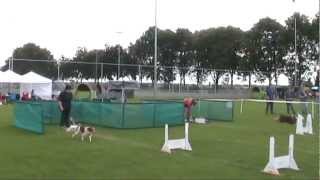 preview picture of video 'Flyball competitie 2012: KC Culemborg e.o. (Culemborg, 2012-07-07)'
