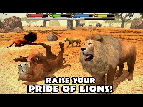 Ultimate Lion Family Survival Simulator-By Gluten Free Classic - YouTube