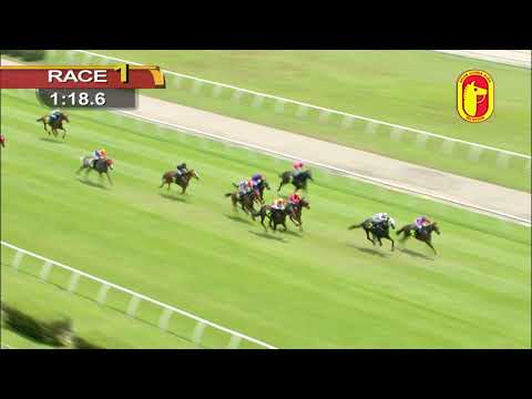 31 MARCH 2019 RACE 1