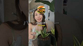 Download lagu Makudonarudo?? Why Japanese pronounce like that 🤔 mp3 Download lagu Makudonarudo?? Why Japanese pronounce like that 🤔 mp3