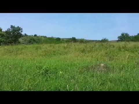 Drumul Sânpaul-Sânmărghita