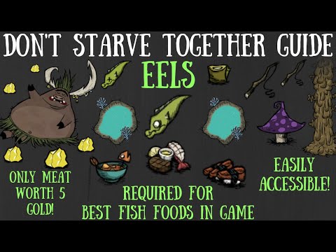 Don't Starve Together Guide: Eels