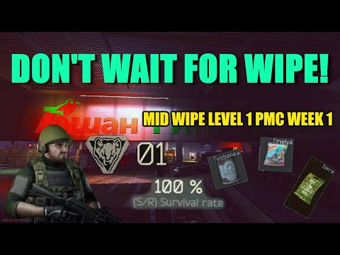 You NEED to play NOW Here is Why 100% surv rate Mid wipe Level 1-42 Week 1 Escape from Tarkov 12.12