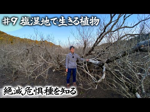 歩道レベルの家の壁を緑化し、都市に自然を呼び込む...個人のアクション