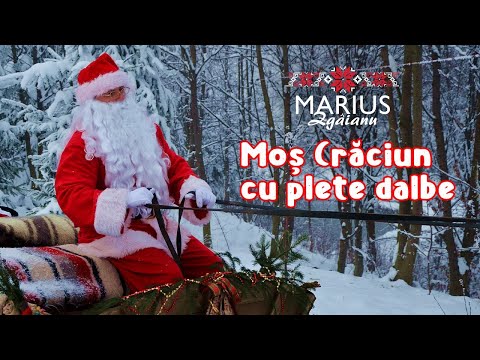 Marius Zgâianu - Moș Crăciun cu plete dalbe