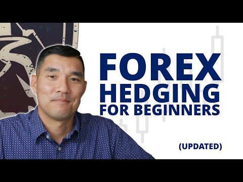 Forex Hedging for Absolute Beginners: Start With Zero Experience