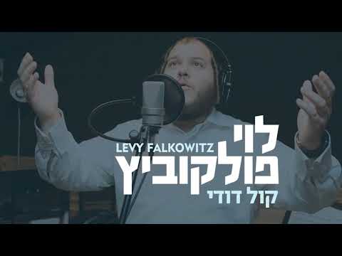 Kol Dodi - Levy Falkowitz | קול דודי - לוי פלקוביץ (Achake Loi • Track 04)