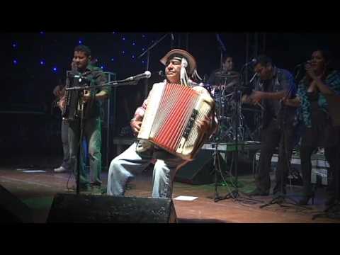 Pinto do Acordeon