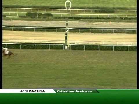 Premio Criterium Aretuseo 2011 (LISTED RACE)