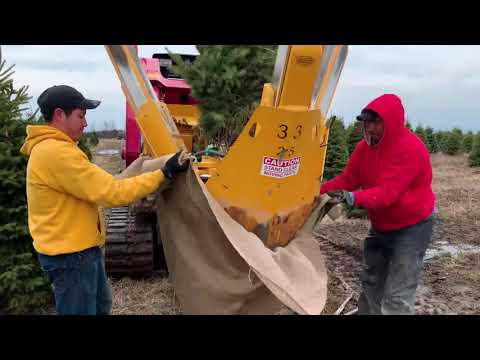 Modern Scallop Fishing Vessel   Hundreds Tons of Scallop Processing in Factory My future farm