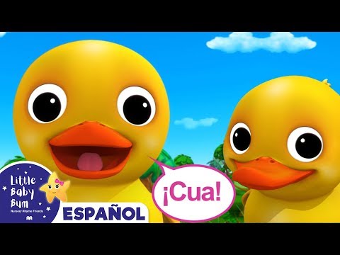 Seis Patitos - ¡Cua, Cua, Cua! | Canciones Infantiles | Little Baby Bum en Español