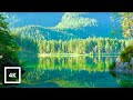 4K UHD Mountain Lake Tranquility and Forest Birdsong | Relaxing Nature Ambience for Sleep