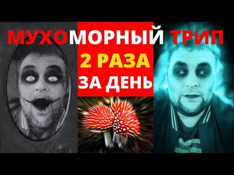 Мухоморный трип два раза за день| Грибной шаман| Психоделики в помощь