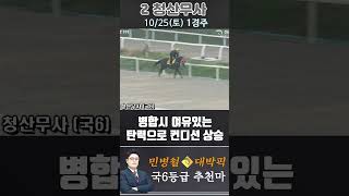 [서울 경마] 민병철 대박픽 2025년 10월 25일 토요 1R 추천마3 #경마 #하이라이트 #한국마사회 #고배당 #검빛 #코리아