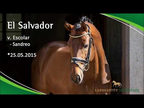 EL SALVADOR v. Escolar - Sandreo