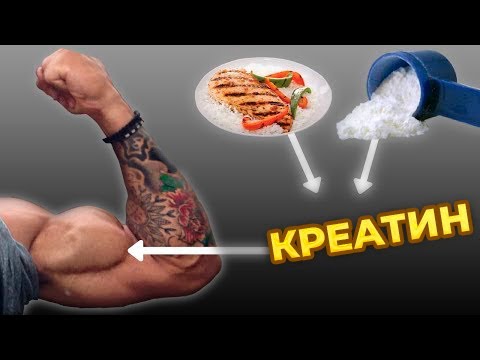 Что Происходит с Вашим Телом Когда вы Принимаете Креатин
