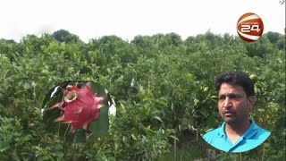 গোমস্তাপুরের কৃষি উদ্যোক্তা রফিকুল ইসলাম