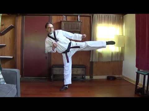 Jumping Roundhouse Kick JDK Style