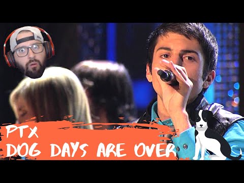 Metalhead reacts to PTX on the Sing Off "Dog Days Are Over"