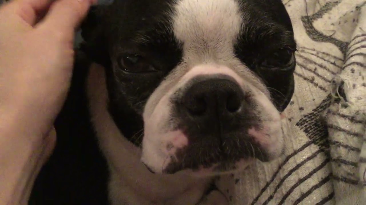 こむ大好きだよ。