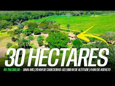 SÍTIO DE 30 HECTARES EM UNAÍ-MG | R$ 750 MIL | 900 M DE ALTITUDE | 4 KM DO ASFALTO