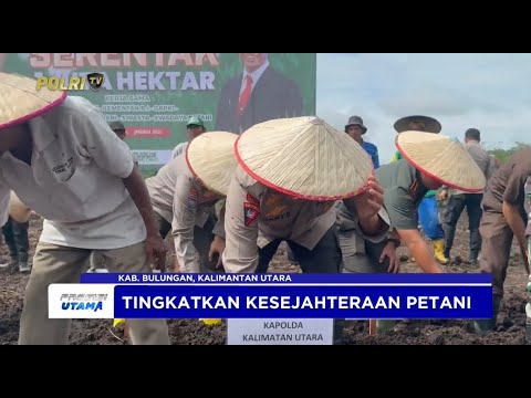 POLDA KALTARA LAKSANAKAN PENANAMAN JAGUNG 1 JUTA HEKTARE