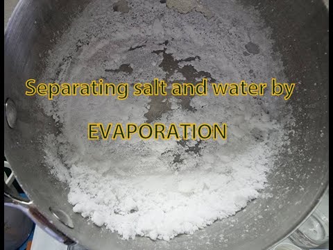 Science experiment: Separating mixture by EVAPORATION ( Homogeneous solution - SALT WATER)